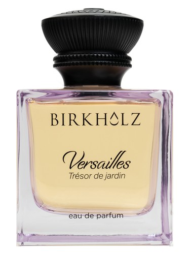 Berlin Lights Birkholz Perfume by Birkholz for Unisex UAE
