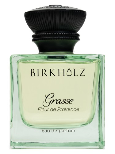 Berlin Lights Birkholz Perfume by Birkholz for Unisex UAE
