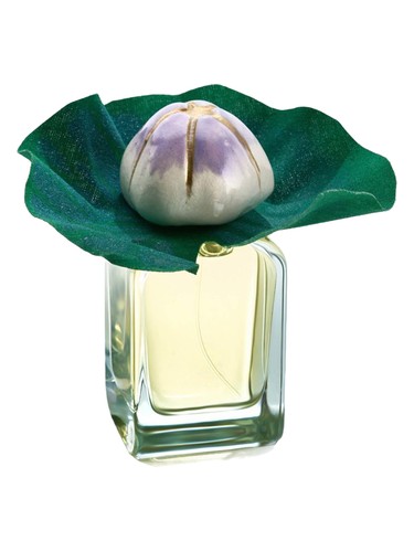 Mendittorosa Id Perfume by Mendittorosa for unisex UAE