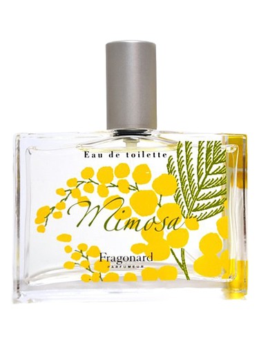 Calypso Mimosa for women Perfume by Calypso Christiane Celle for female UAE