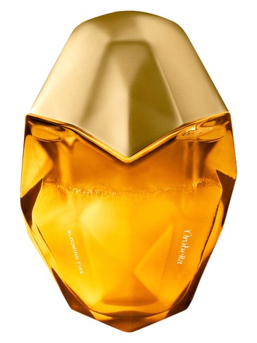 Philosophy Honey & Cream Perfume by Philosophy for female UAE