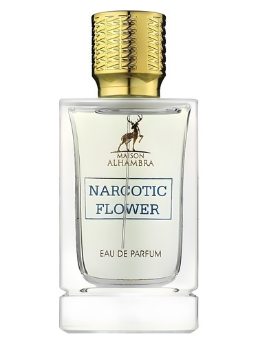 Rio Glow Perfume by Jennifer Lopez for female UAE