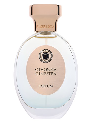 Odorosa Ginestra perfume