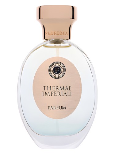 Amalfi Costantinopoli Perfume by Floridia Parfum for Unisex UAE