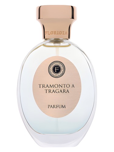 Amalfi Costantinopoli Perfume by Floridia Parfum for Unisex UAE