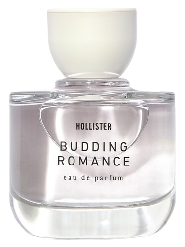 La Jolla Perfume by Hollister for Women UAE