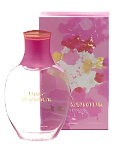Rose d'Anouk Perfume