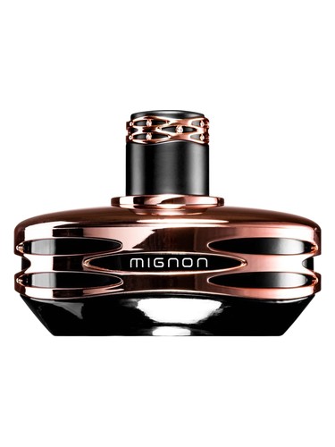 In Flames unisex Perfume by La Rive for unisex UAE