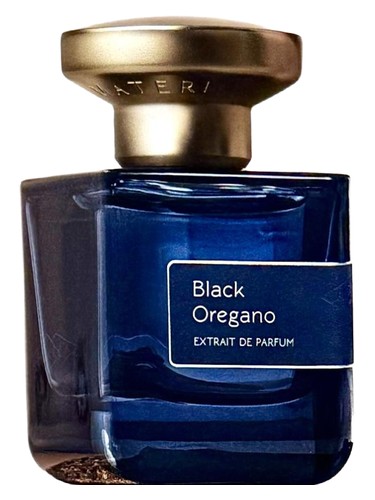 Atelier Materi Bois D Ambrette Perfume by Atelier Materi for Unisex UAE