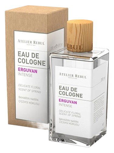 Oud Noir Perfume by Atelier Rebul for Unisex UAE