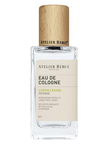 Oud Noir Perfume by Atelier Rebul for Unisex UAE