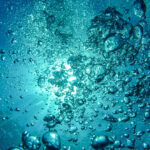 Aquatic Notes