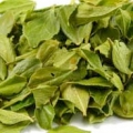 Buchu Or Agathosma