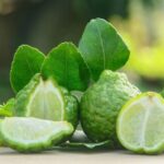 Calabrian Bergamot
