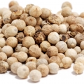 Coriander Extract