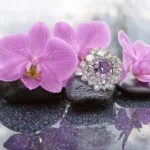 Diamond Orchid