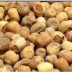 Egyptian Balsam