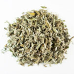 Egyptian Sage