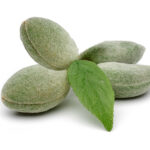 Green Almond