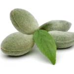 Green Almond