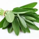 Herbal Notes