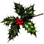 Holly
