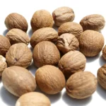 Indonesian Nutmeg