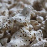 Italian Orris Root