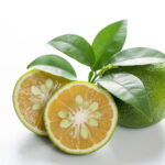 Japanese Citruses
