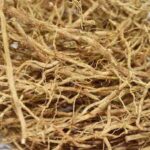 Java Vetiver Oil