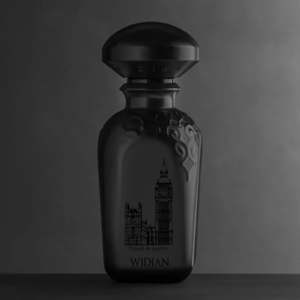Widian Aswan Perfume by Widian for unisex UAE