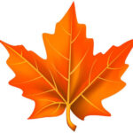 Orange Leaf