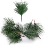 Pine Needles