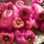 Pink Paprika
