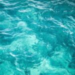 Sea Notes