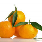 Sicilian Mandarin