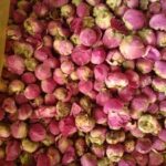 Tea Rose