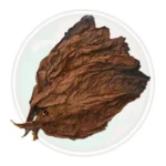 Tobacco Leaf