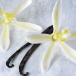 Vanilla Orchid