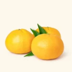 Yellow Mandarin