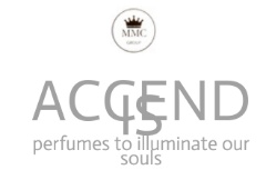 Accendis logo