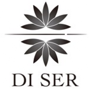 DI SER logo