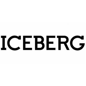 Iceberg logo