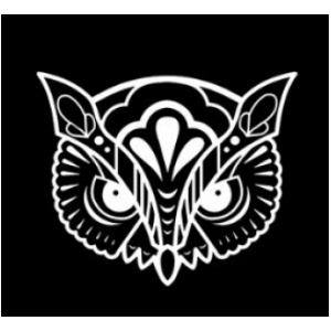 Lorenzo Pazzaglia logo
