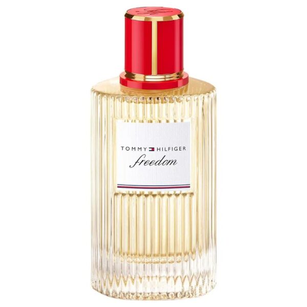 Tommy Vibrant Summer for men Perfume by Tommy Hilfiger for male UAE