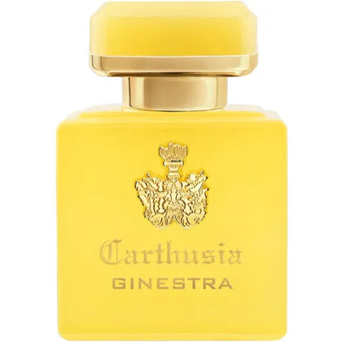 Intenso di Ginestra Carthusia perfume