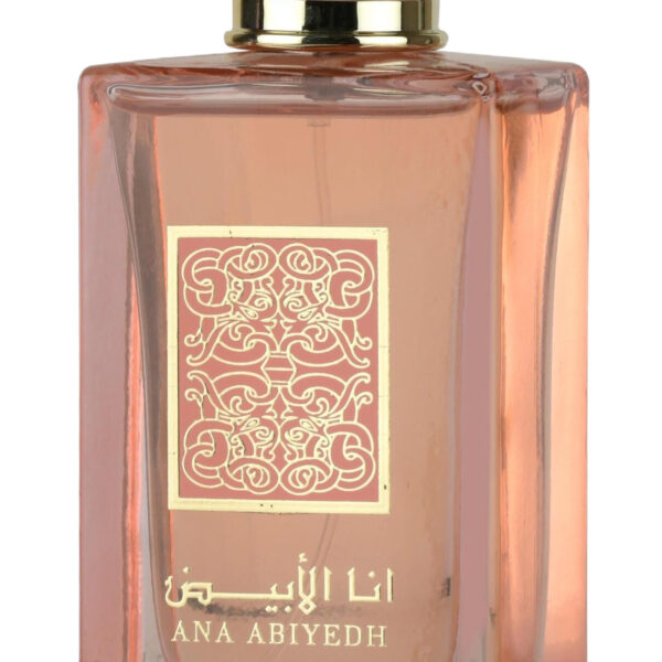 Paris Hilton Electrify Perfume by Paris Hilton for female UAE