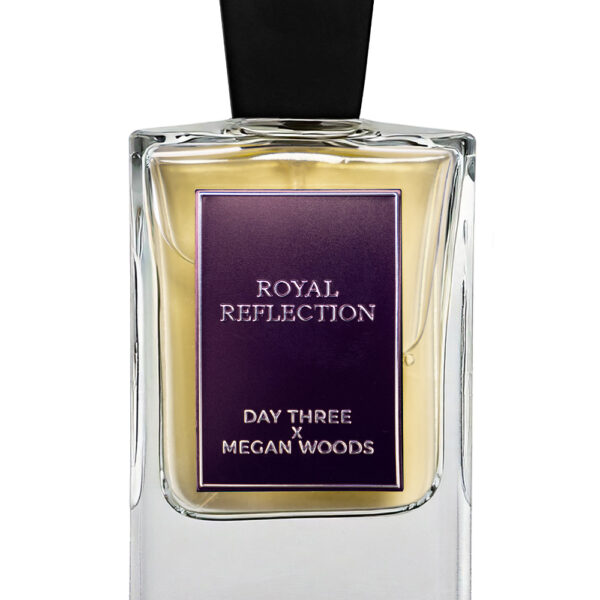 Desert Rain Day Three Perfume by Day Three for Unisex UAE