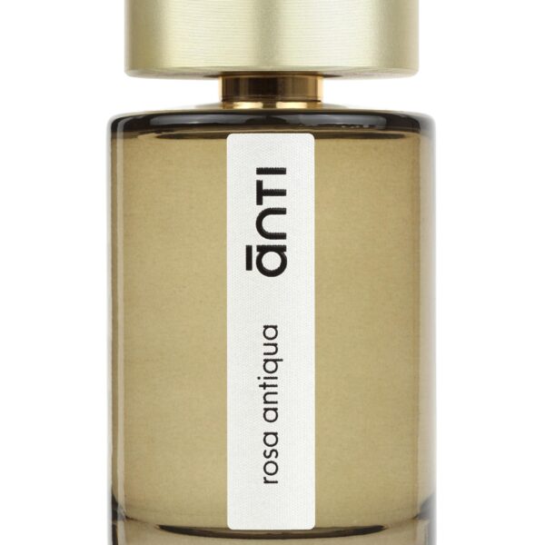 Rosa Antiqua Anti perfume