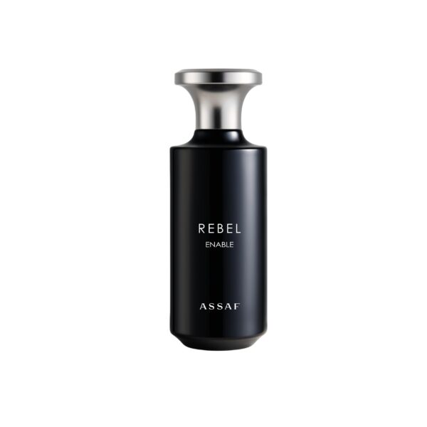 Rebel Assaf Perfume by Assaf for Men UAE